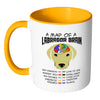 Yellow Labrador Mug A Map Of A Labrador Brain White 11oz Accent Coffee Mugs